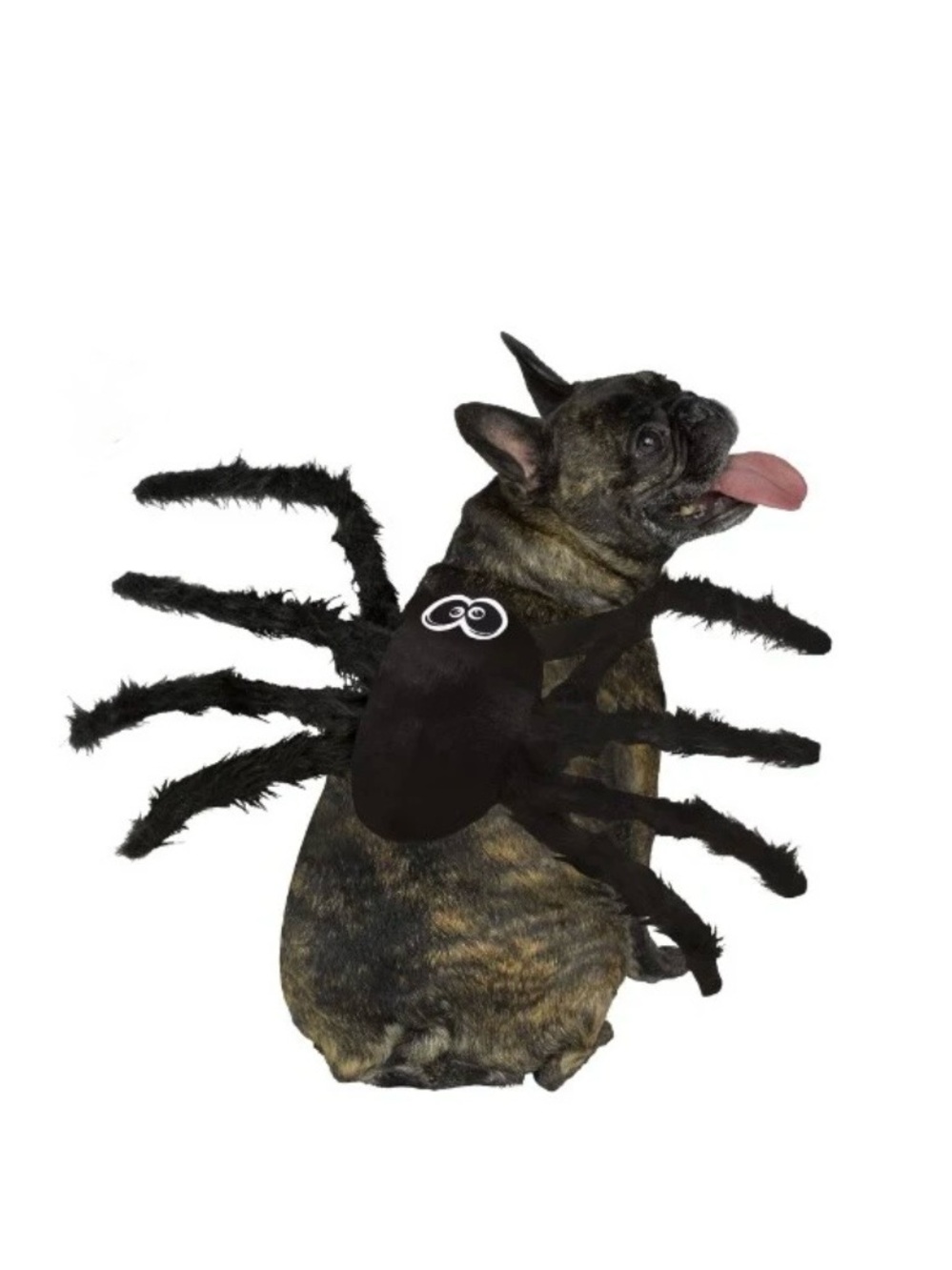 ASHLAND Halloween Fuzzy Black Spider Pet Dog Costume Size XS NEW